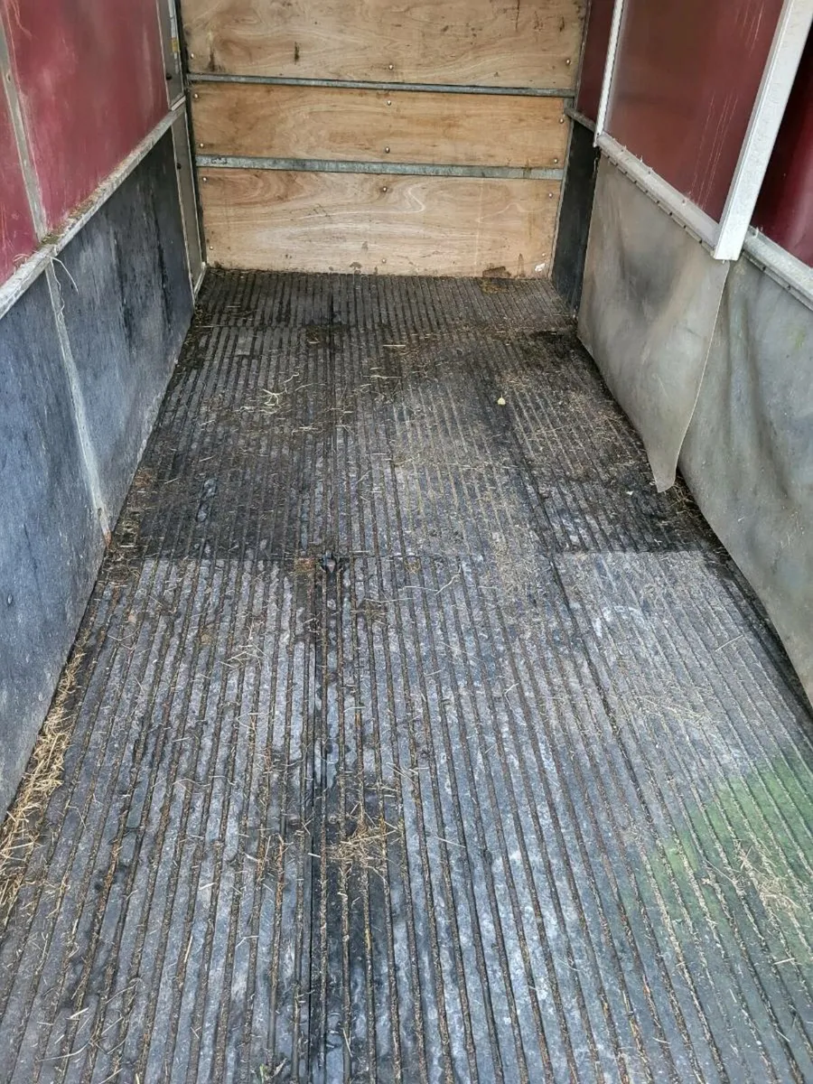 Jumbo horse box - Image 3