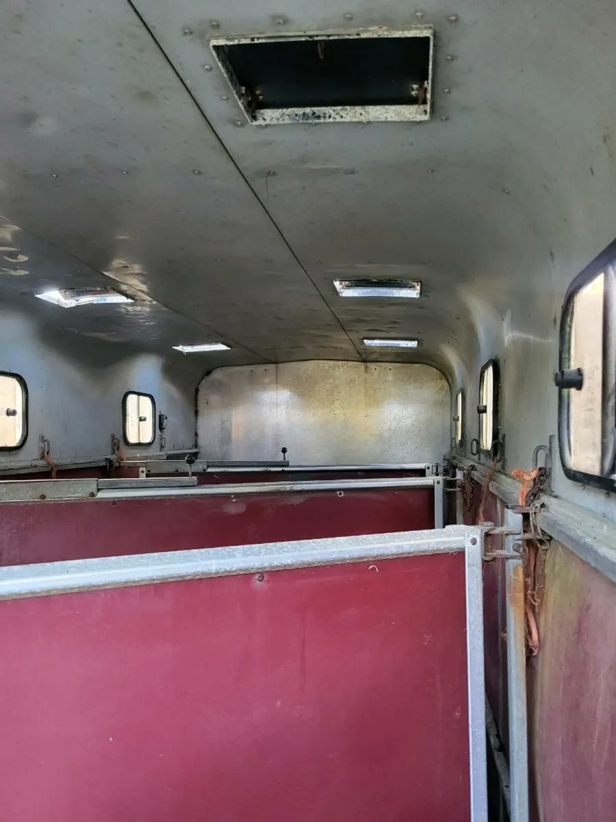 Jumbo horse box - Image 4