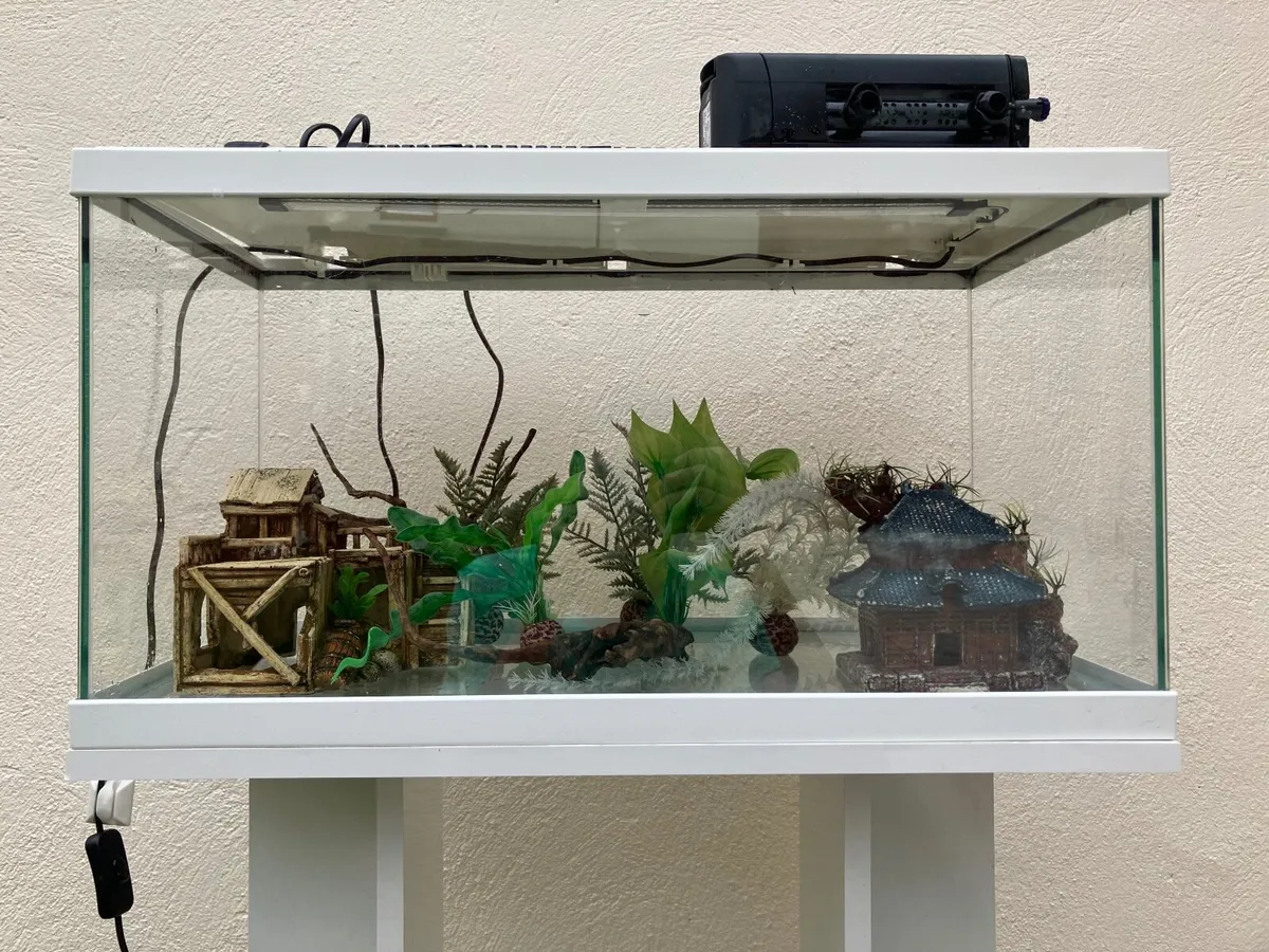 Fish tank 54L with stand and decor - Image 1