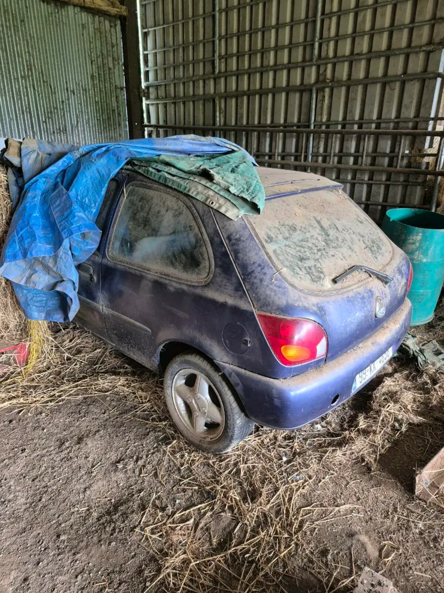 Zetec Fiesta 1999 - Image 2