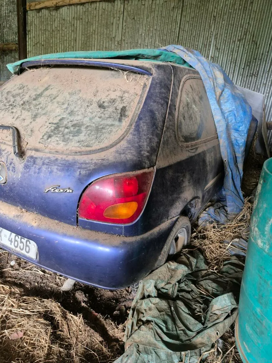 Zetec Fiesta 1999 - Image 3