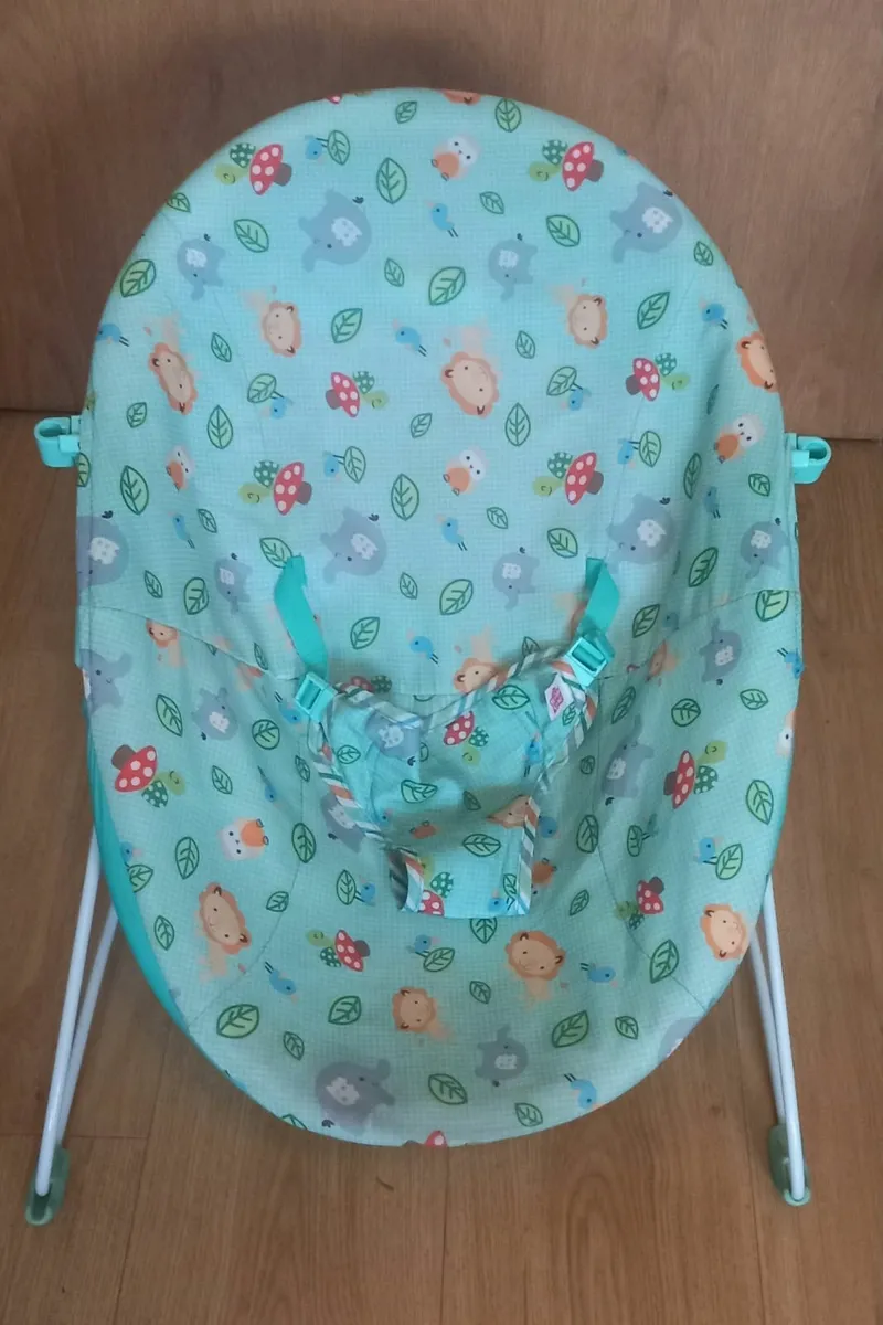 Baby Bouncer - Image 3