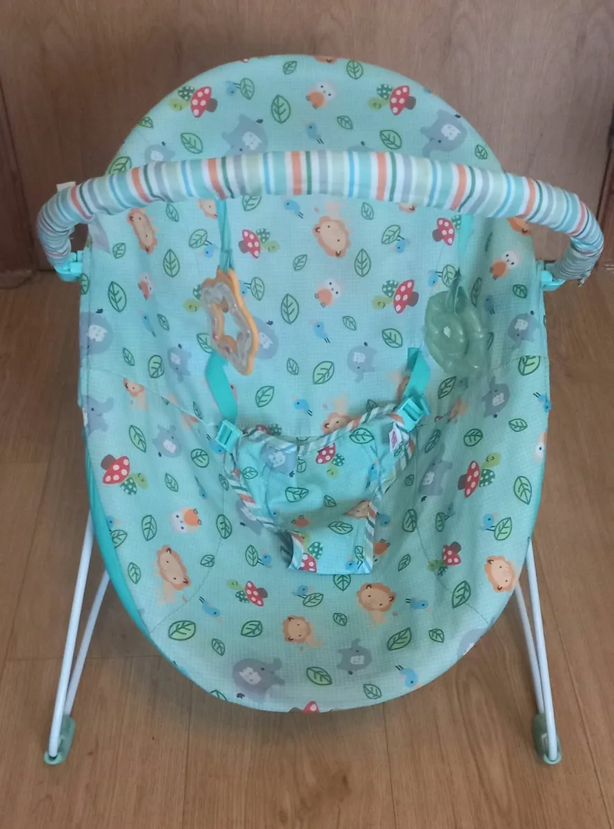 Baby Bouncer - Image 1