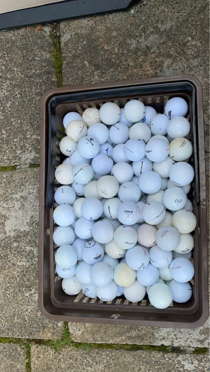50 Practice Golf Balls
