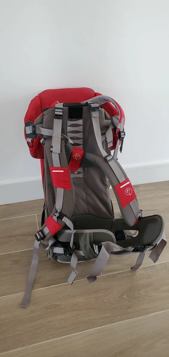 Hiking Child Carrier - Free - Image 1