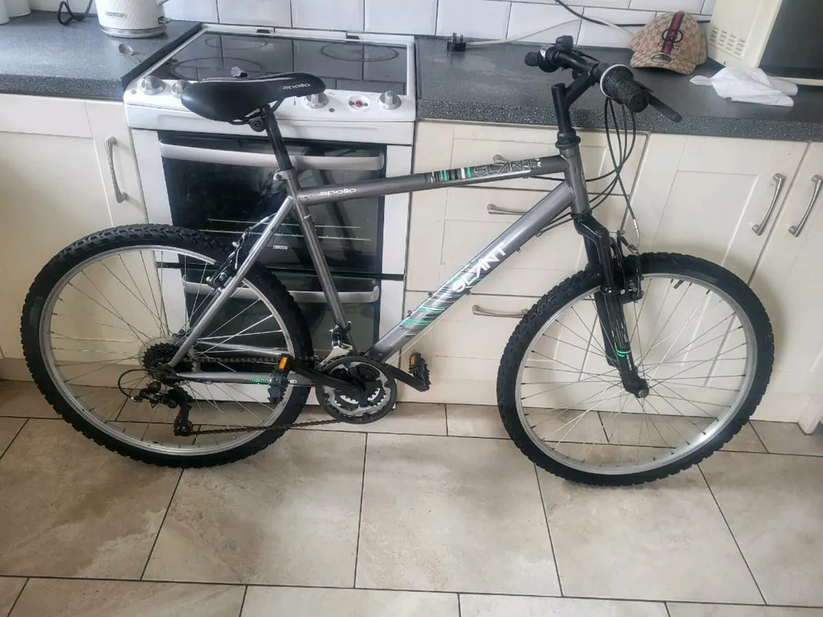Mens mountain bike - Image 1