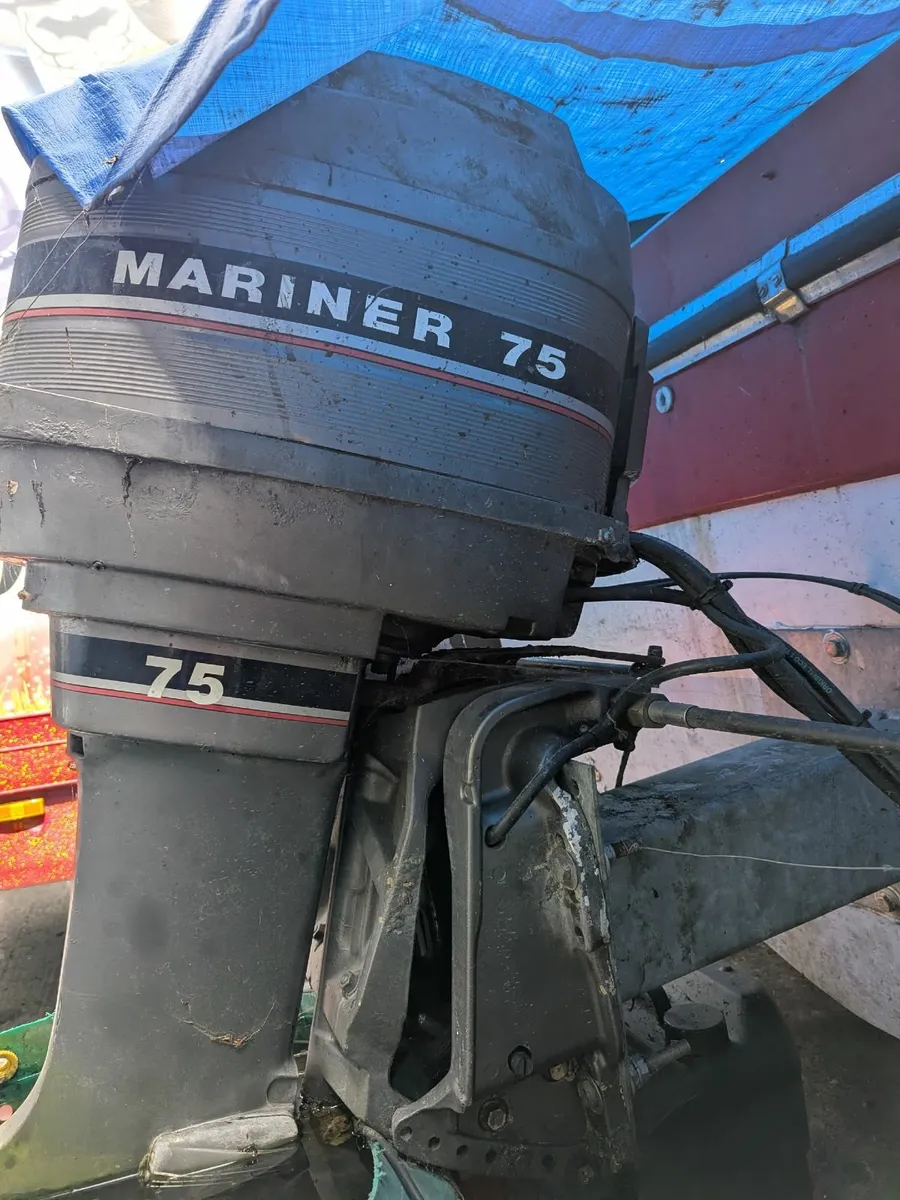 Searay bought - Image 2