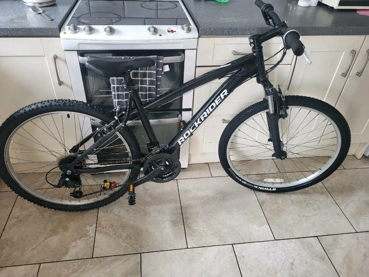 Mountain bike - Image 1