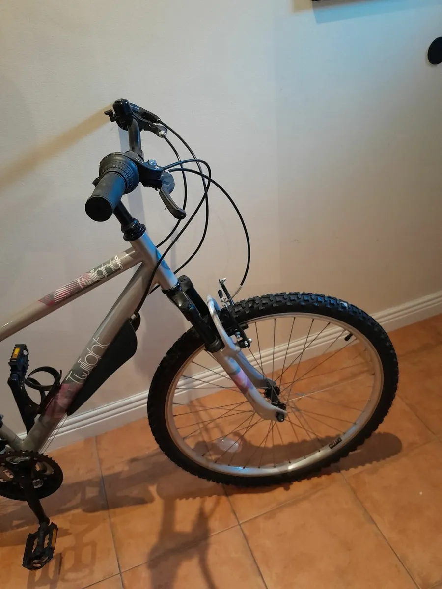 Bicycle - Image 4