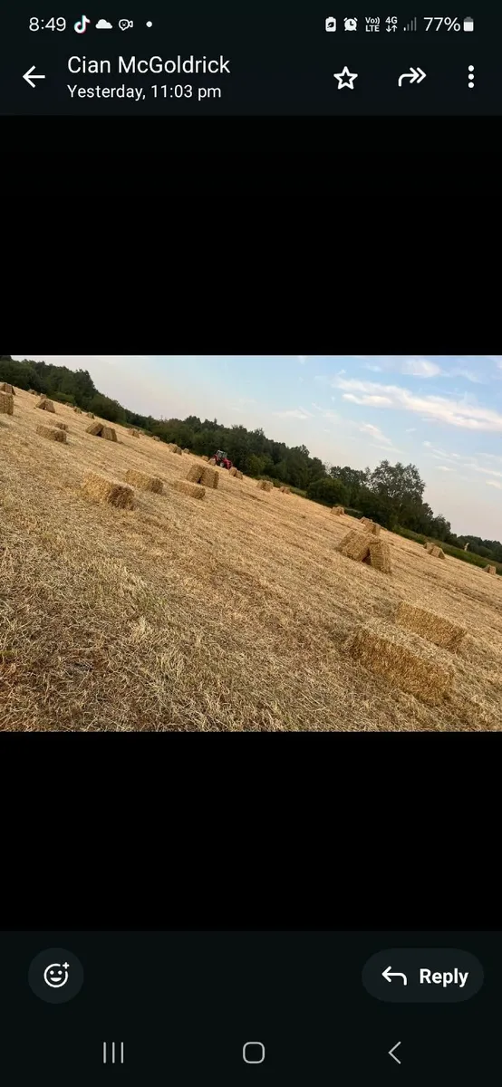 Square bales - Image 1