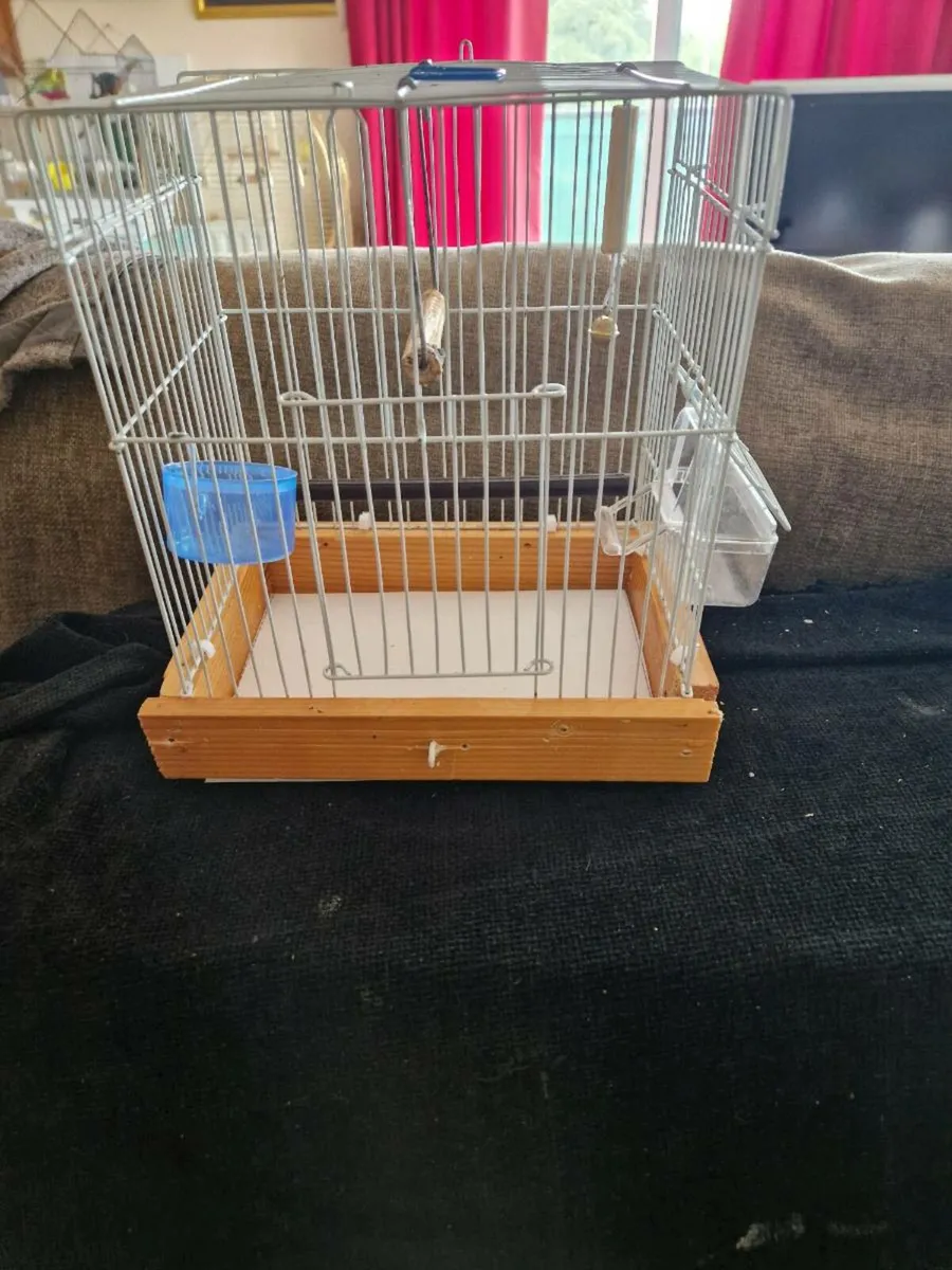 Bird cage - Image 1