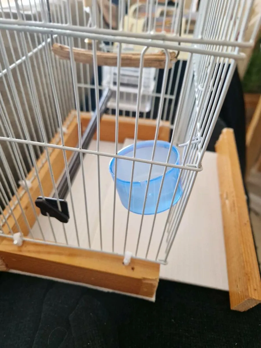 Bird cage - Image 2