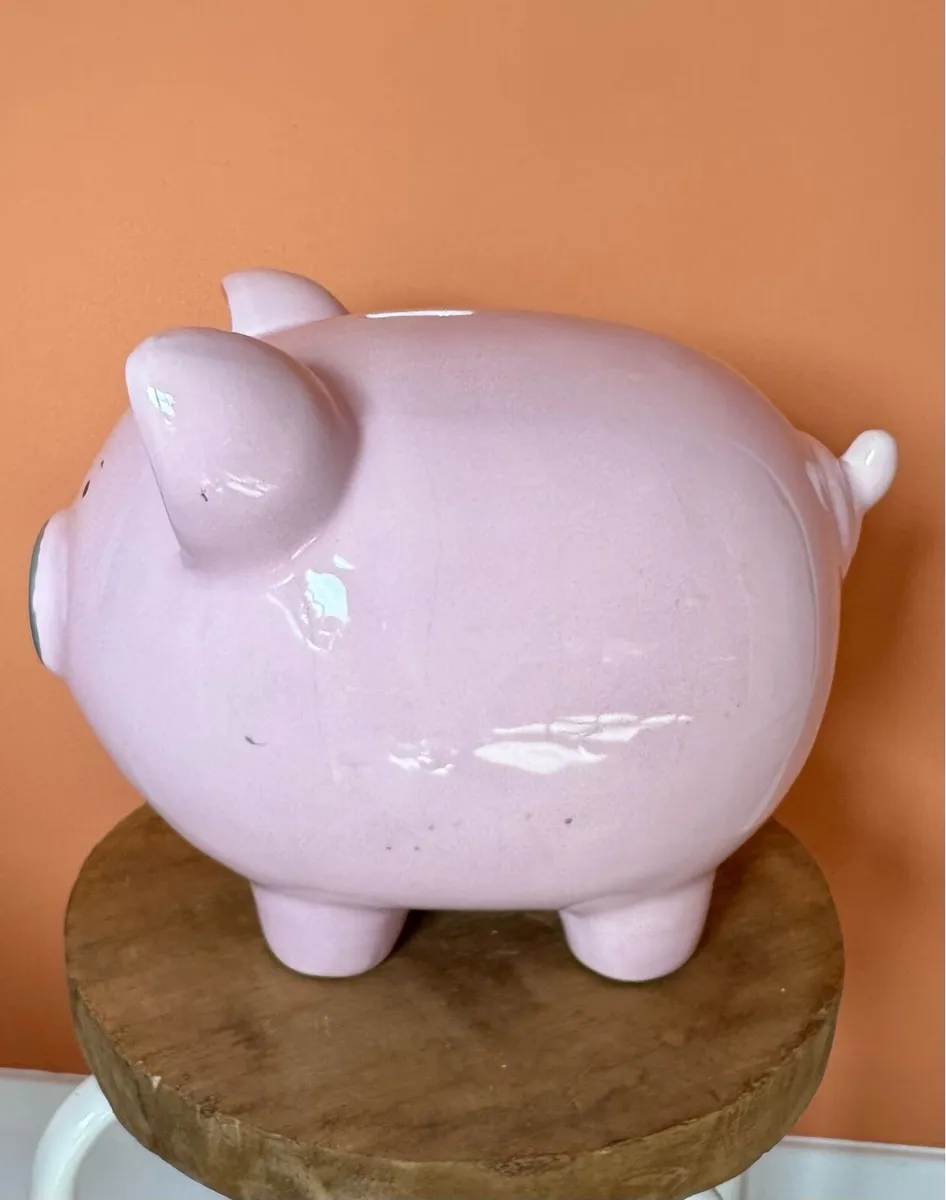 Huge Piggy bank - Image 4