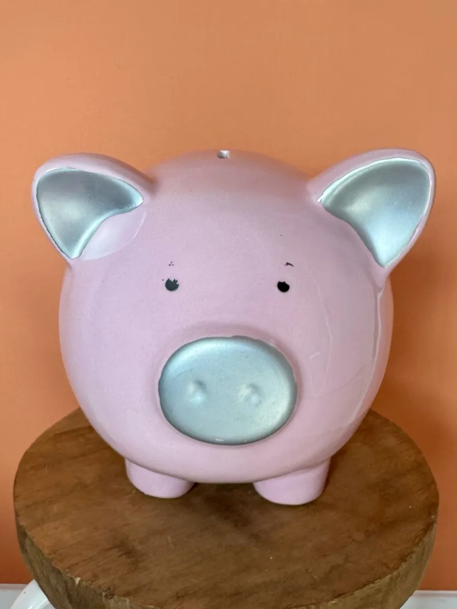 Huge Piggy bank - Image 1