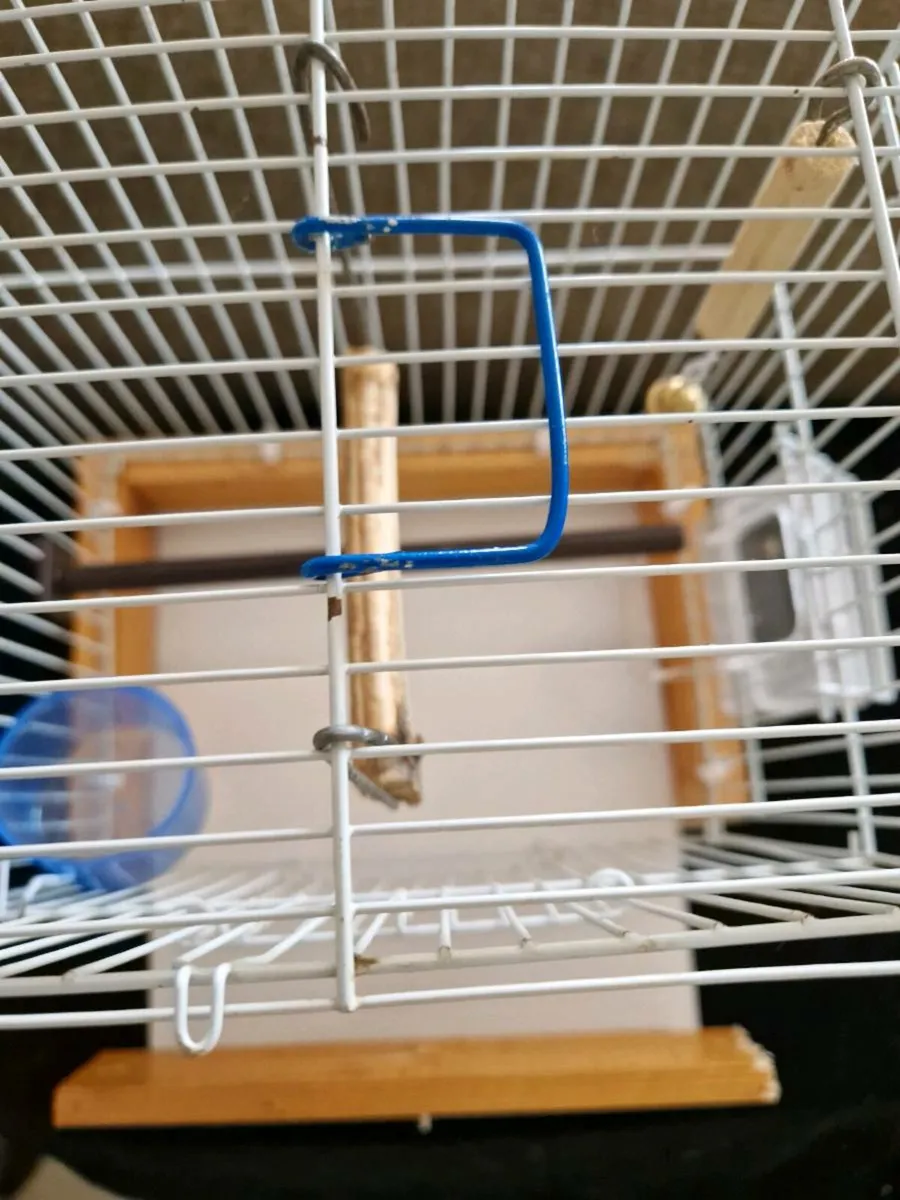 Bird cage - Image 3