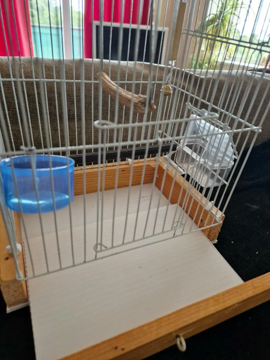 Bird cage - Image 4
