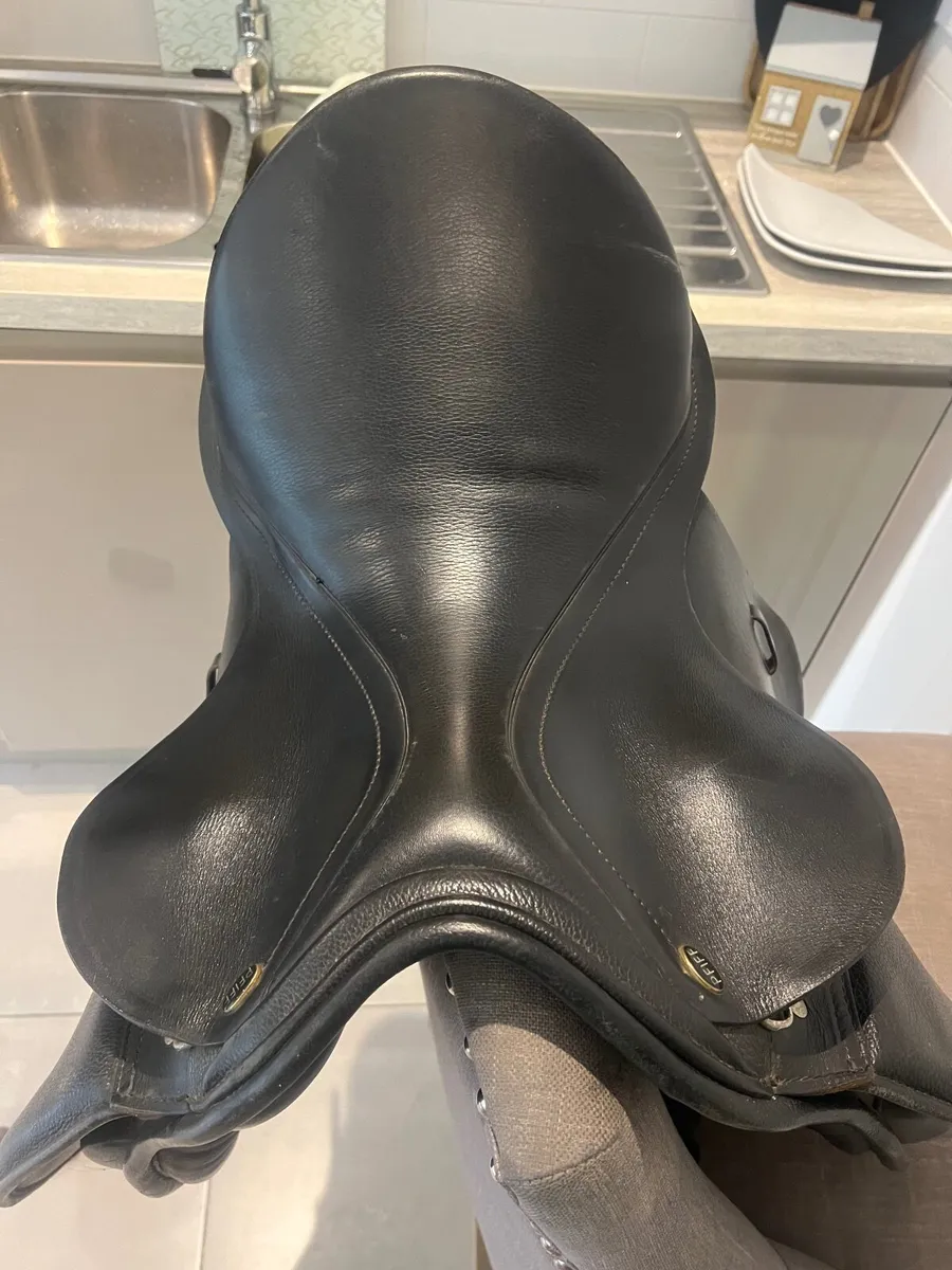 Saddle - Image 3