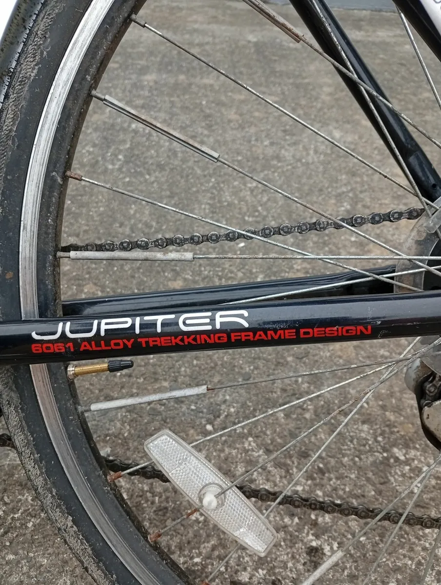 Mens Jupiter Bike - Image 2