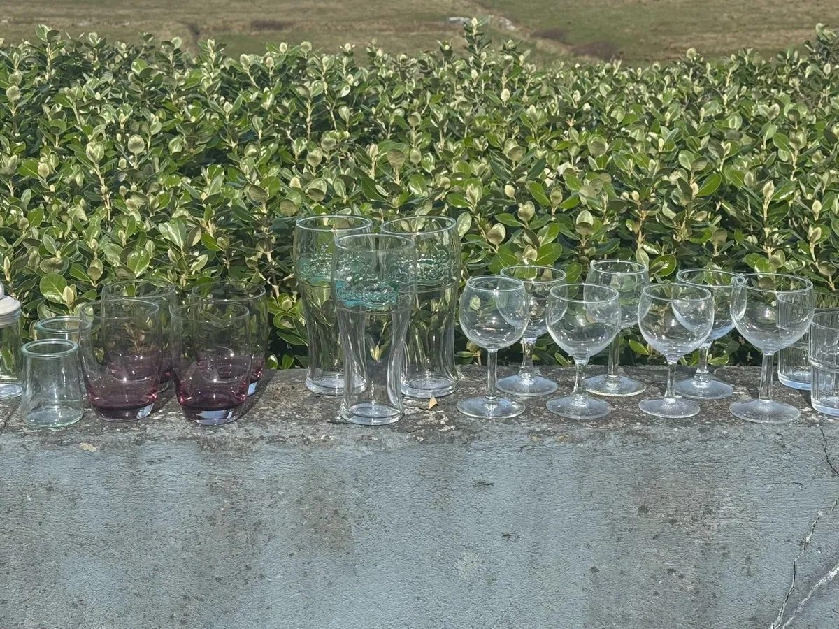 75Glass bowls wine ……… - Image 2