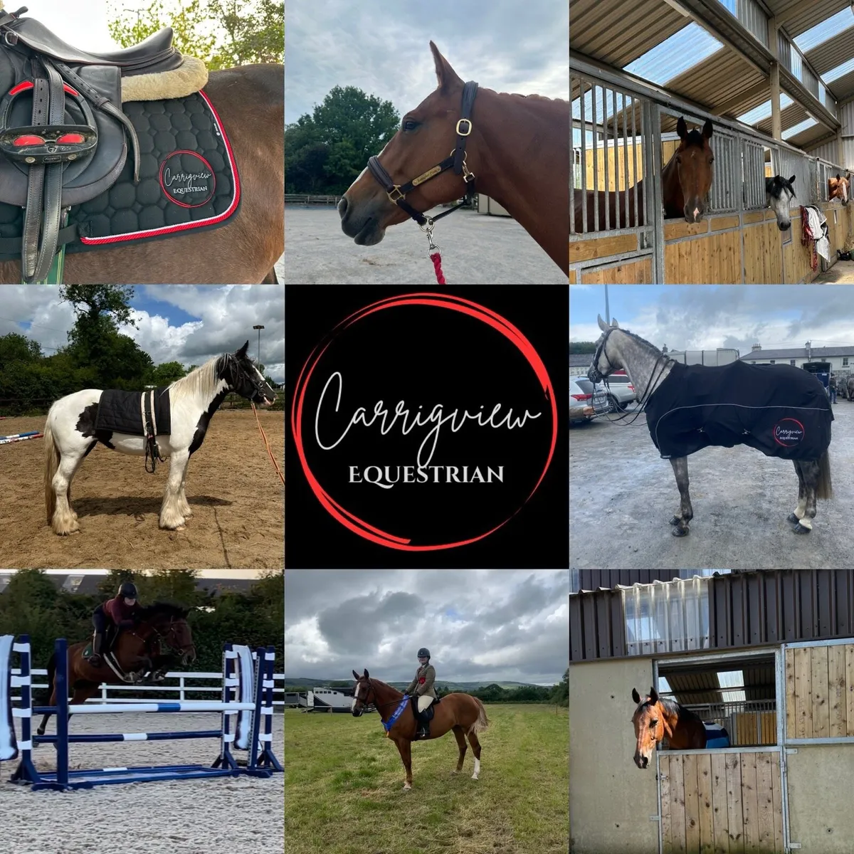 Sales, Breaking and Schooling livery available