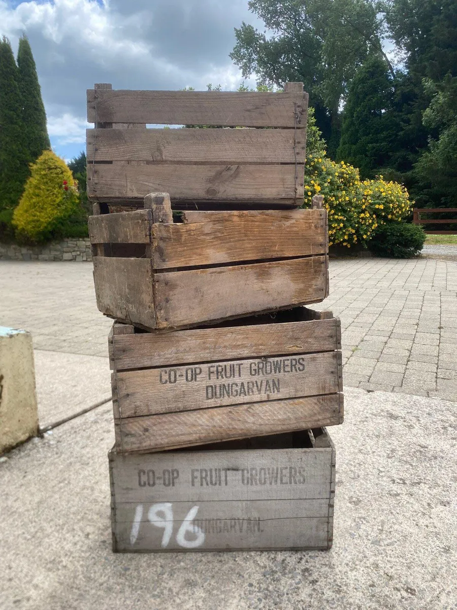 Vintage Wooden Apple Crates - Image 1