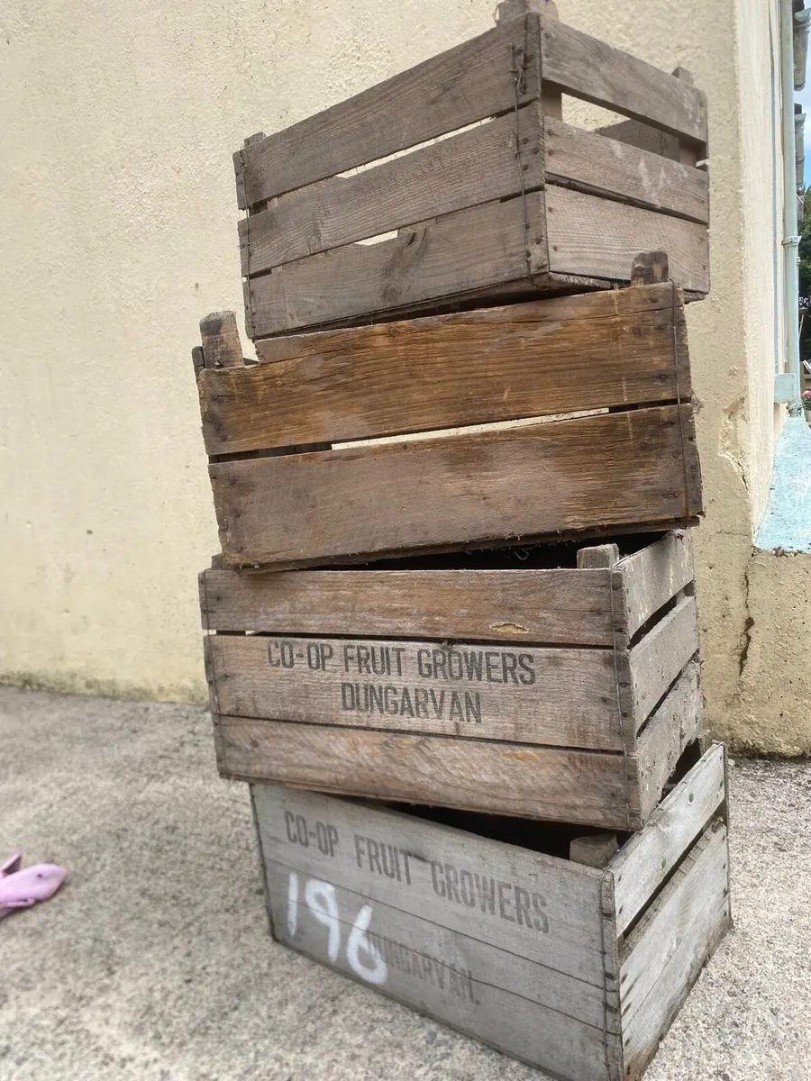 Vintage Wooden Apple Crates - Image 2