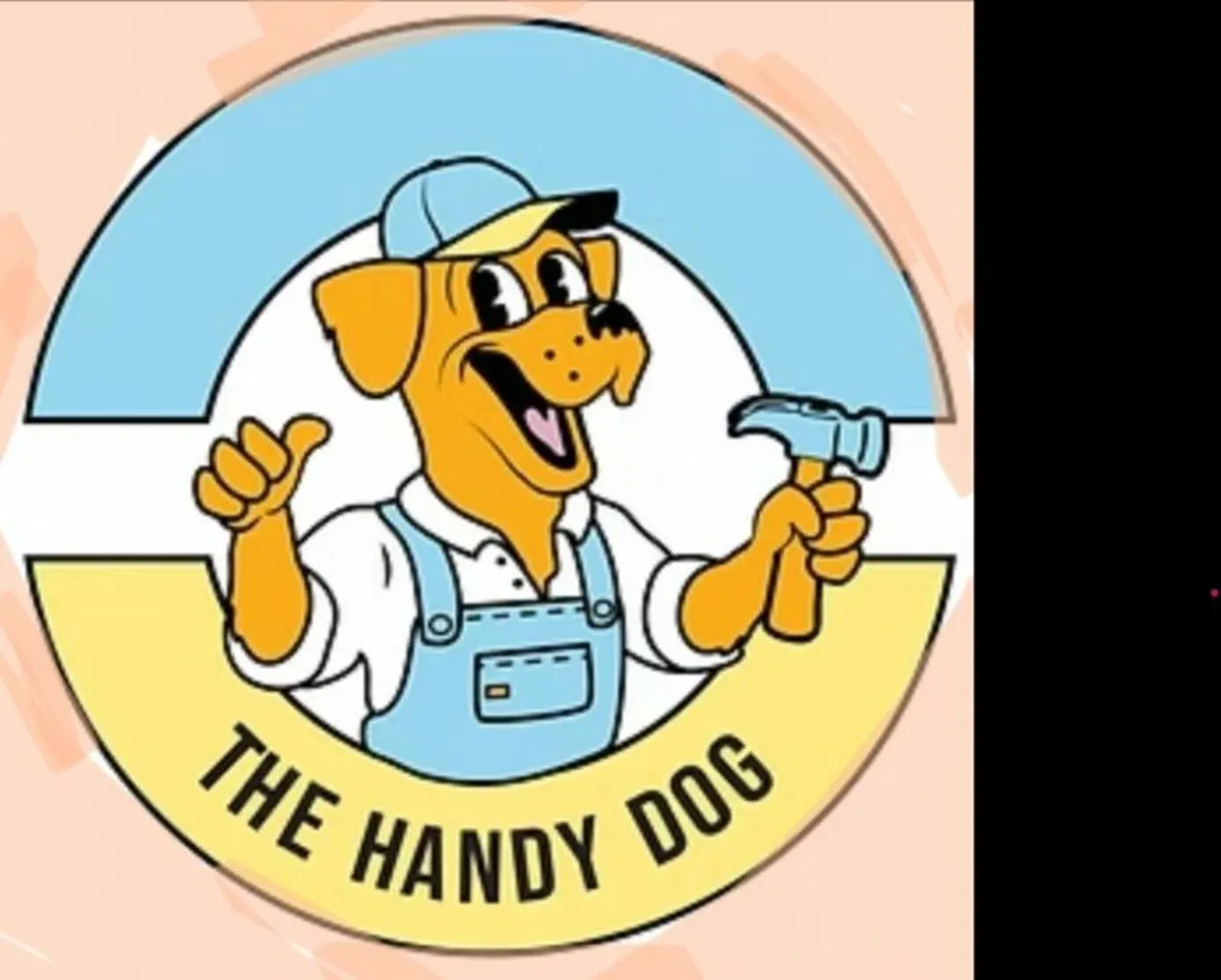 Handyman Dublin - Greystones / Car paintwork - Image 1