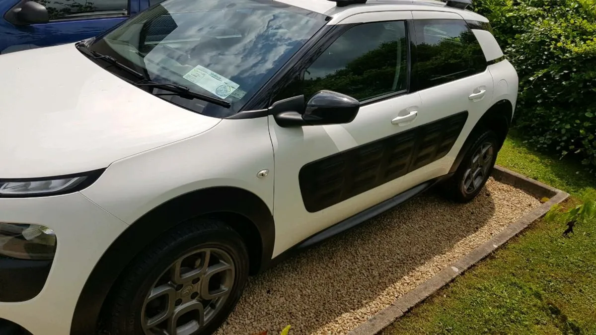 Citroen C4 Cactus - Image 3