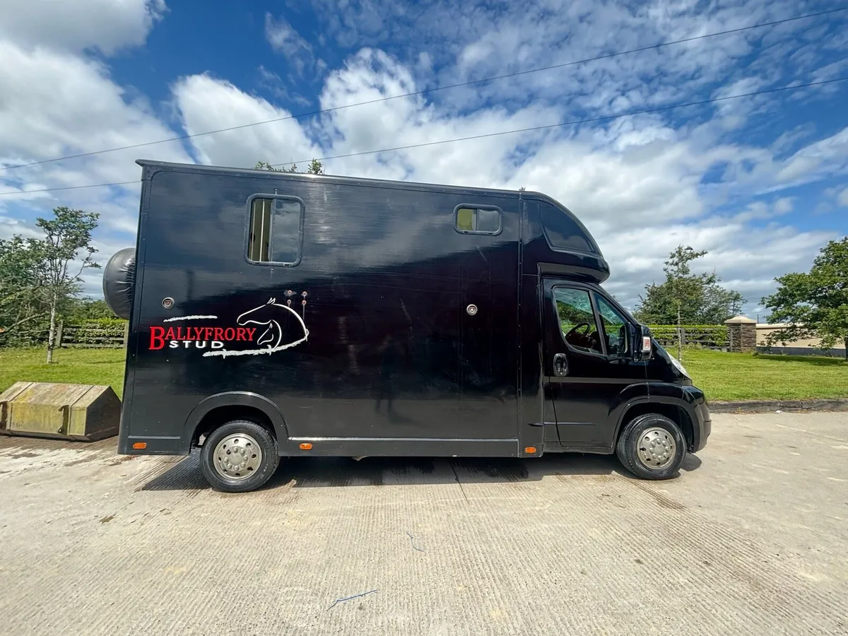 2 Horse Lorry - Horse transporter box - Image 1