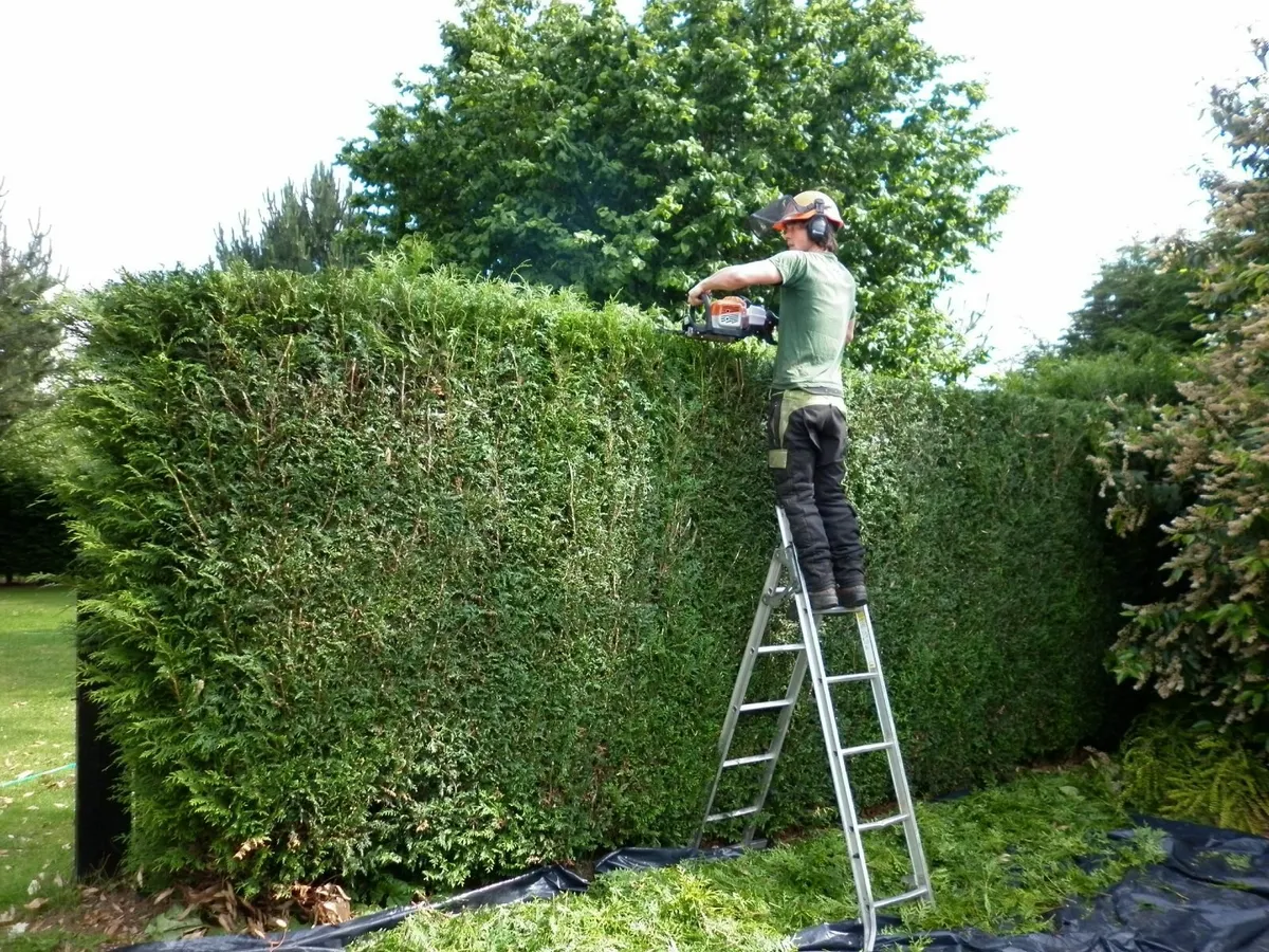 Handyman Dublin - Greystones / Car paintwork - Image 2