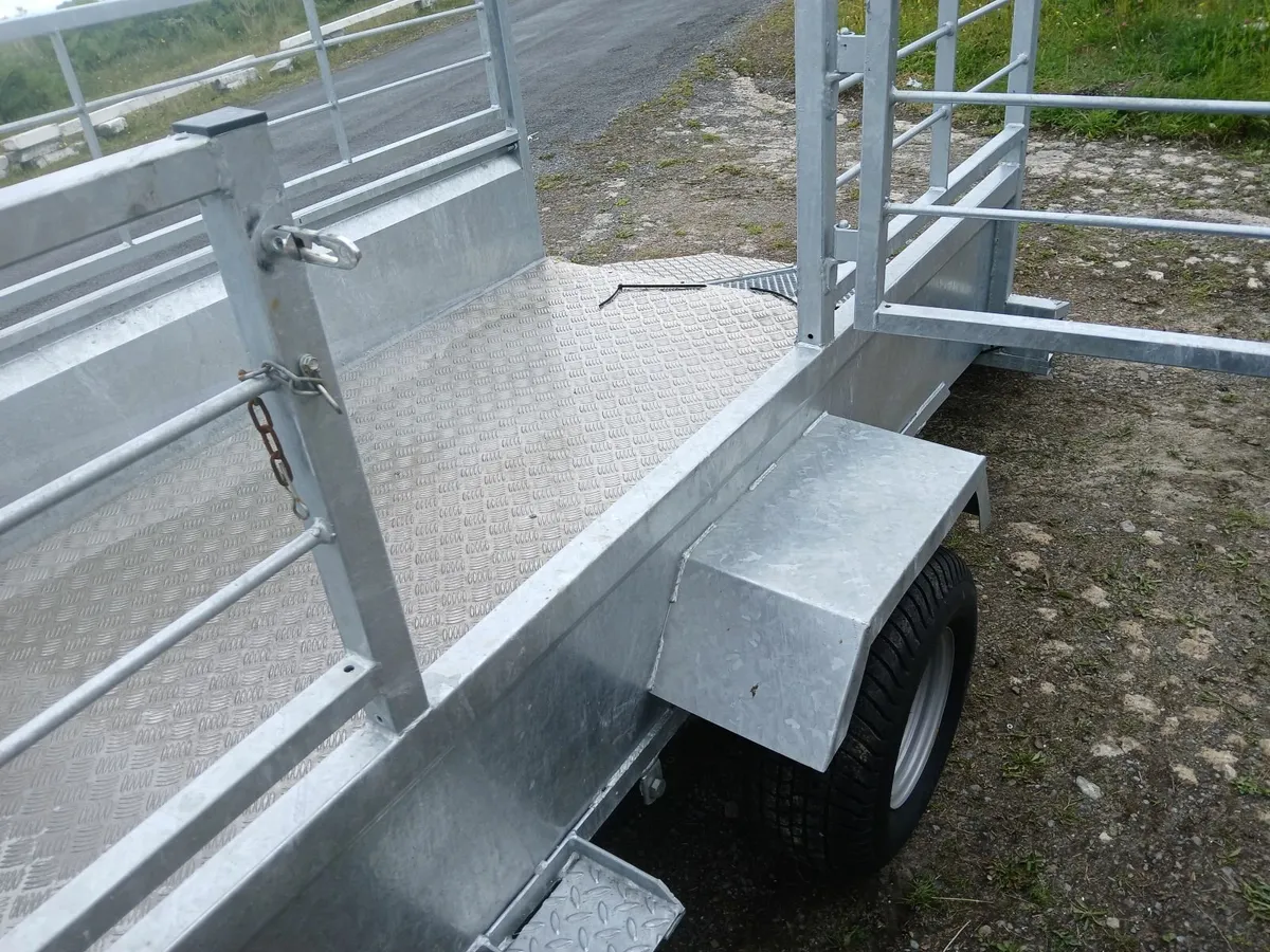 Trailer single axel.. new...ramp door delivered - Image 4