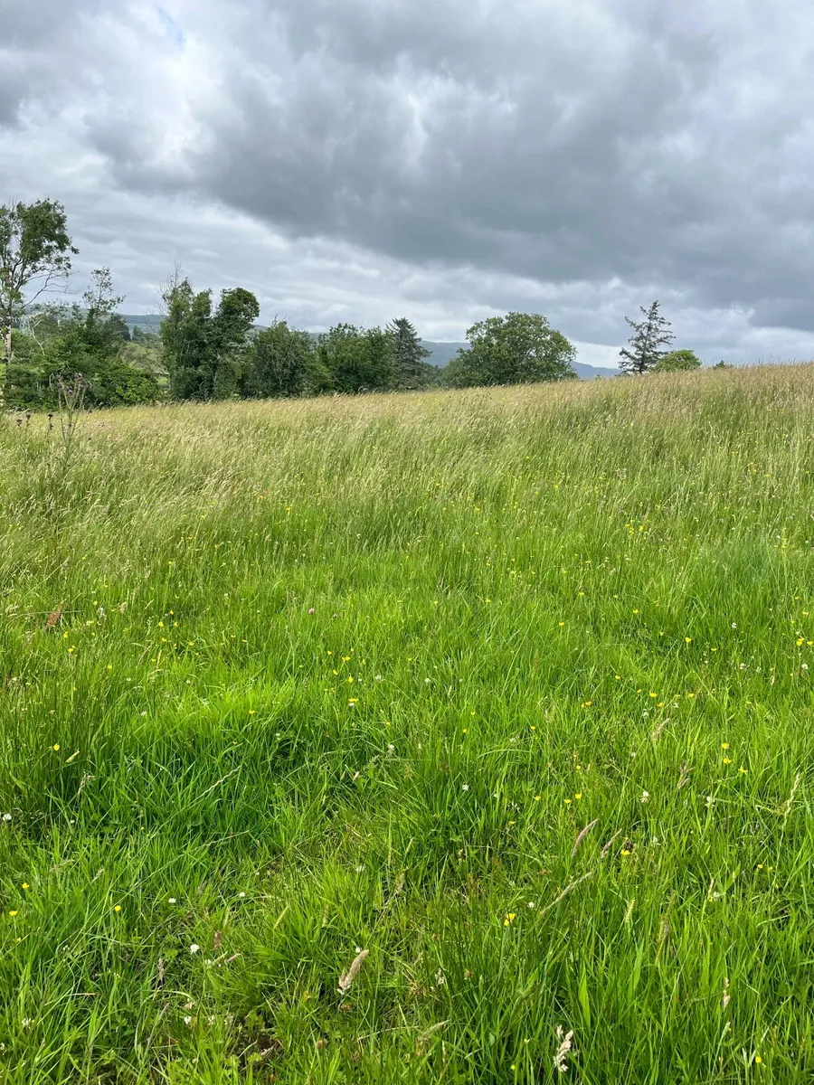 Sillage for sale - Image 1