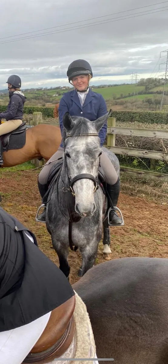 TIH all rounder.  lot 236 goresbridge - Image 1
