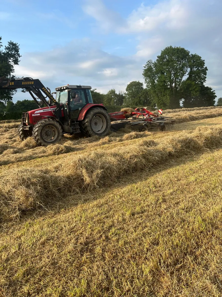 Top Quality Hay - Image 3