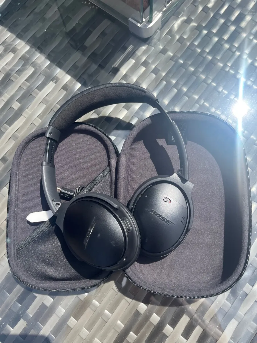 Headphones/earphones