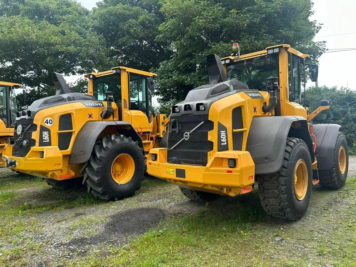 Two Volvo L60H loaders, continental imports - Image 2