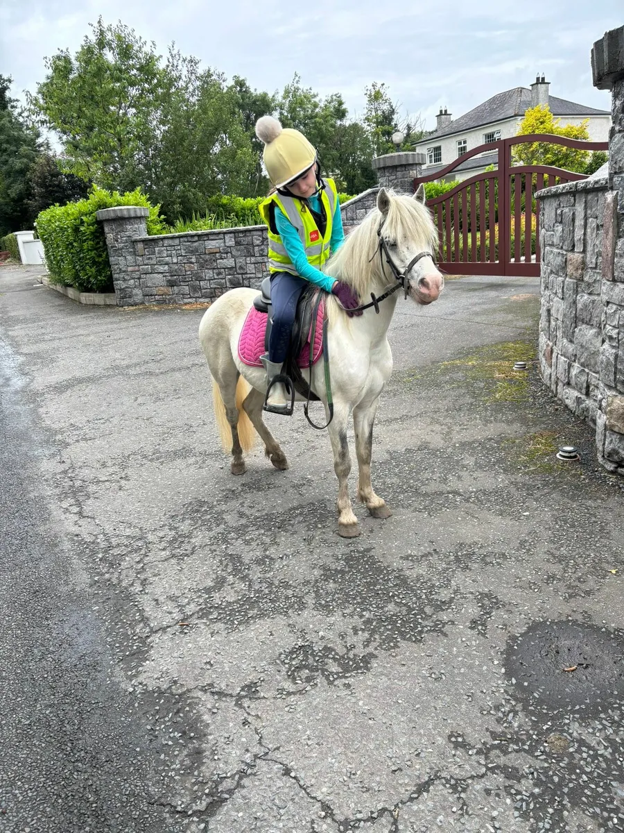 Childs pony - Image 3