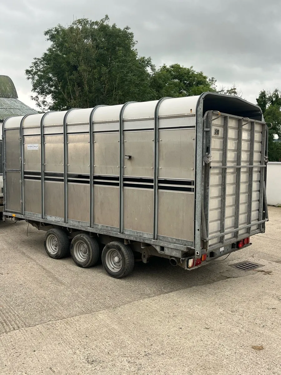 14x6’6 ifor Williams - Image 3