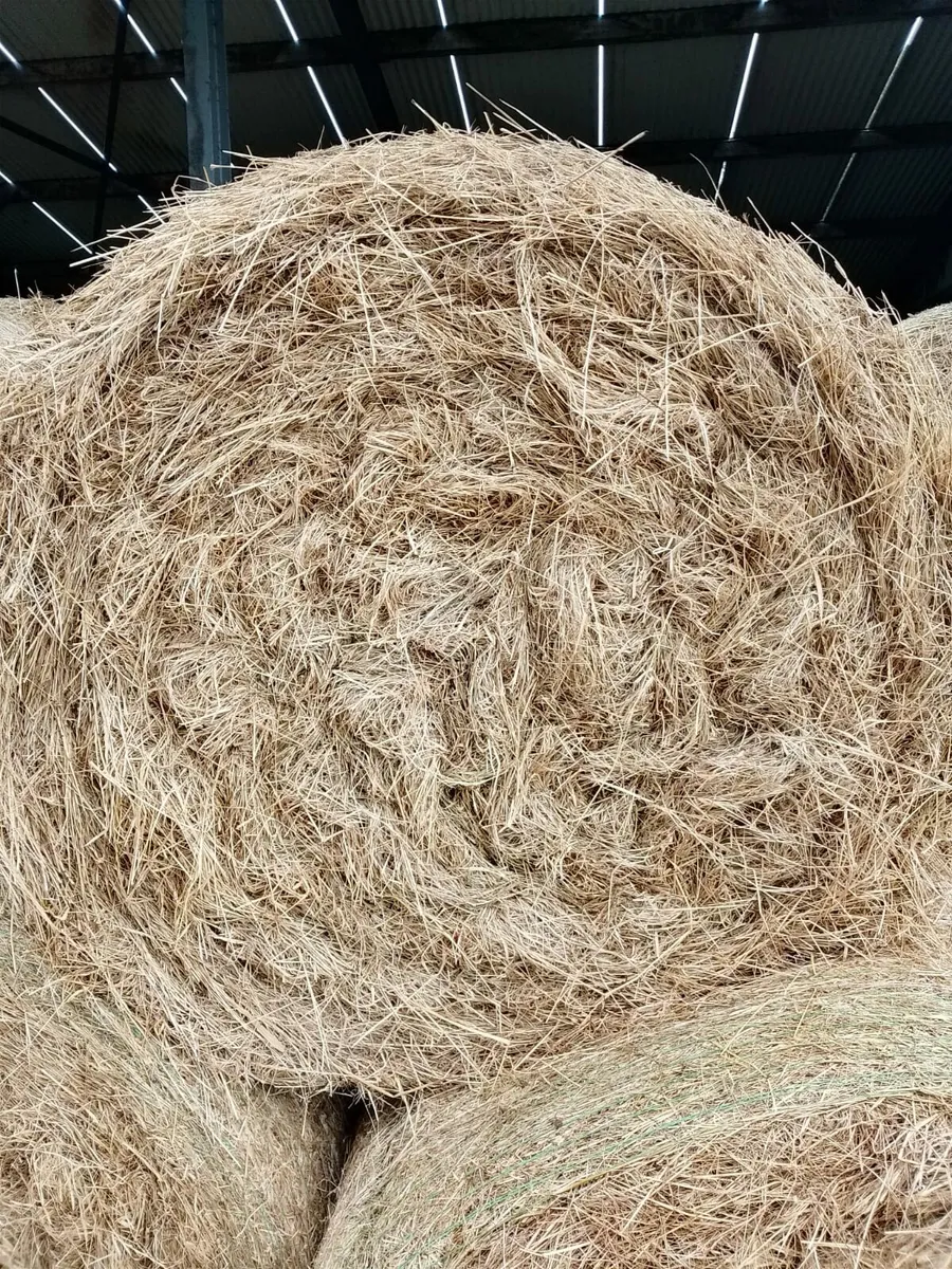 Round Hay Bales - Image 1