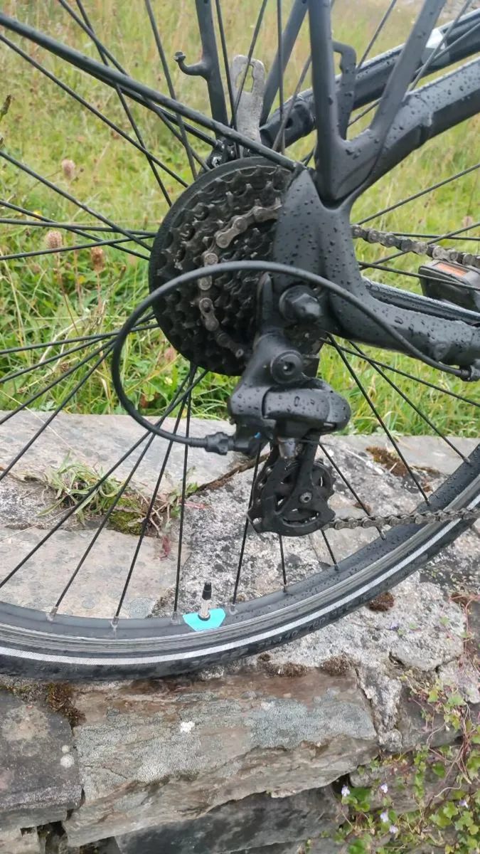 Ebike - Image 1