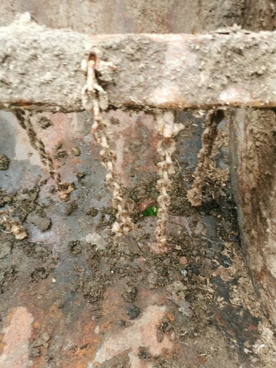 Dung spreader - Image 2