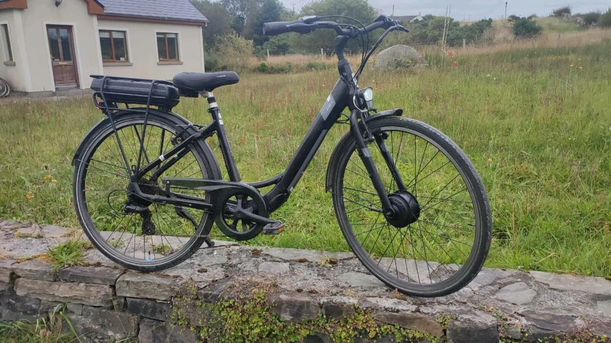 Ebike - Image 2