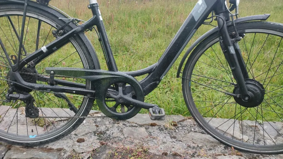 Ebike - Image 3
