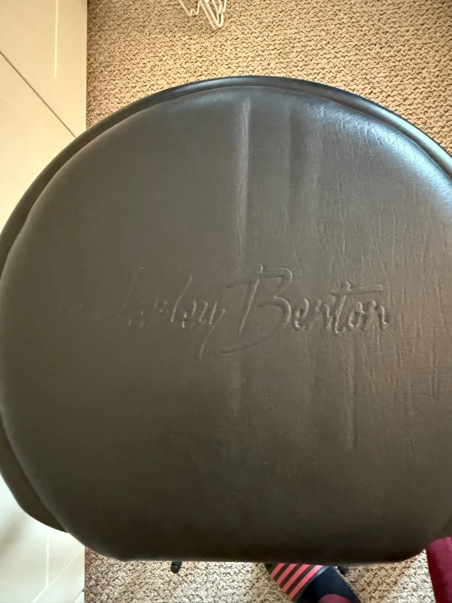 Harley Benton Guitar Stoll With Stand - Image 4