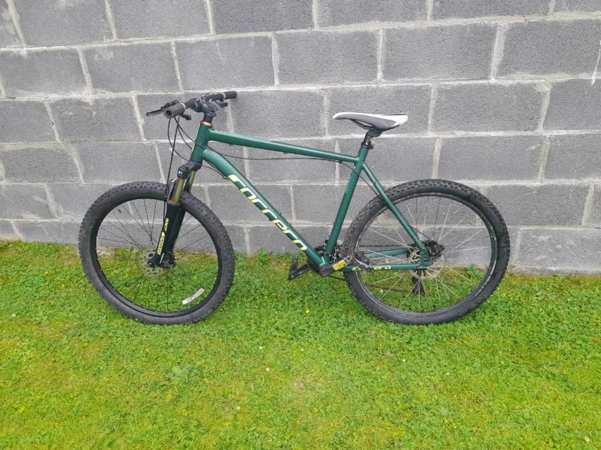 Bike - Image 2