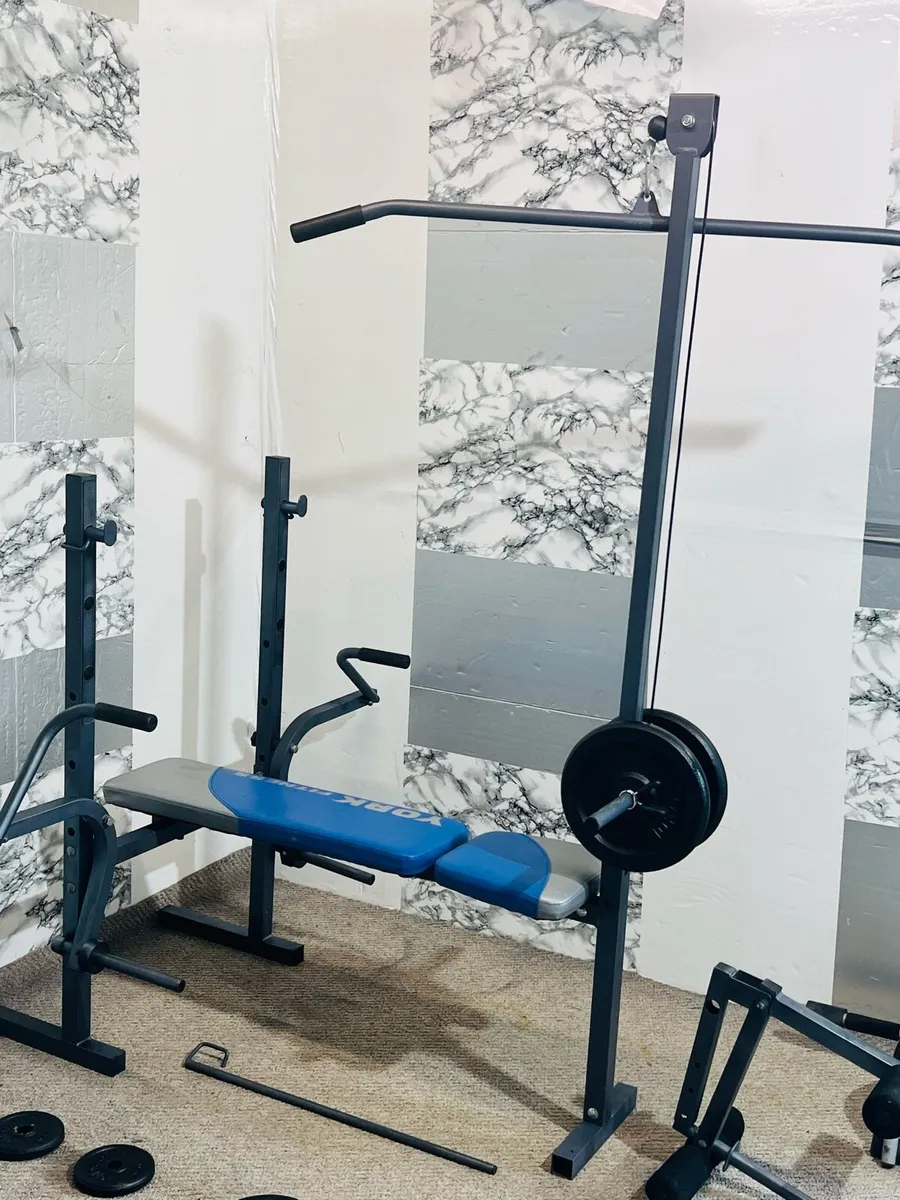 Allinone workout set iron weights barbell Bench - Image 4