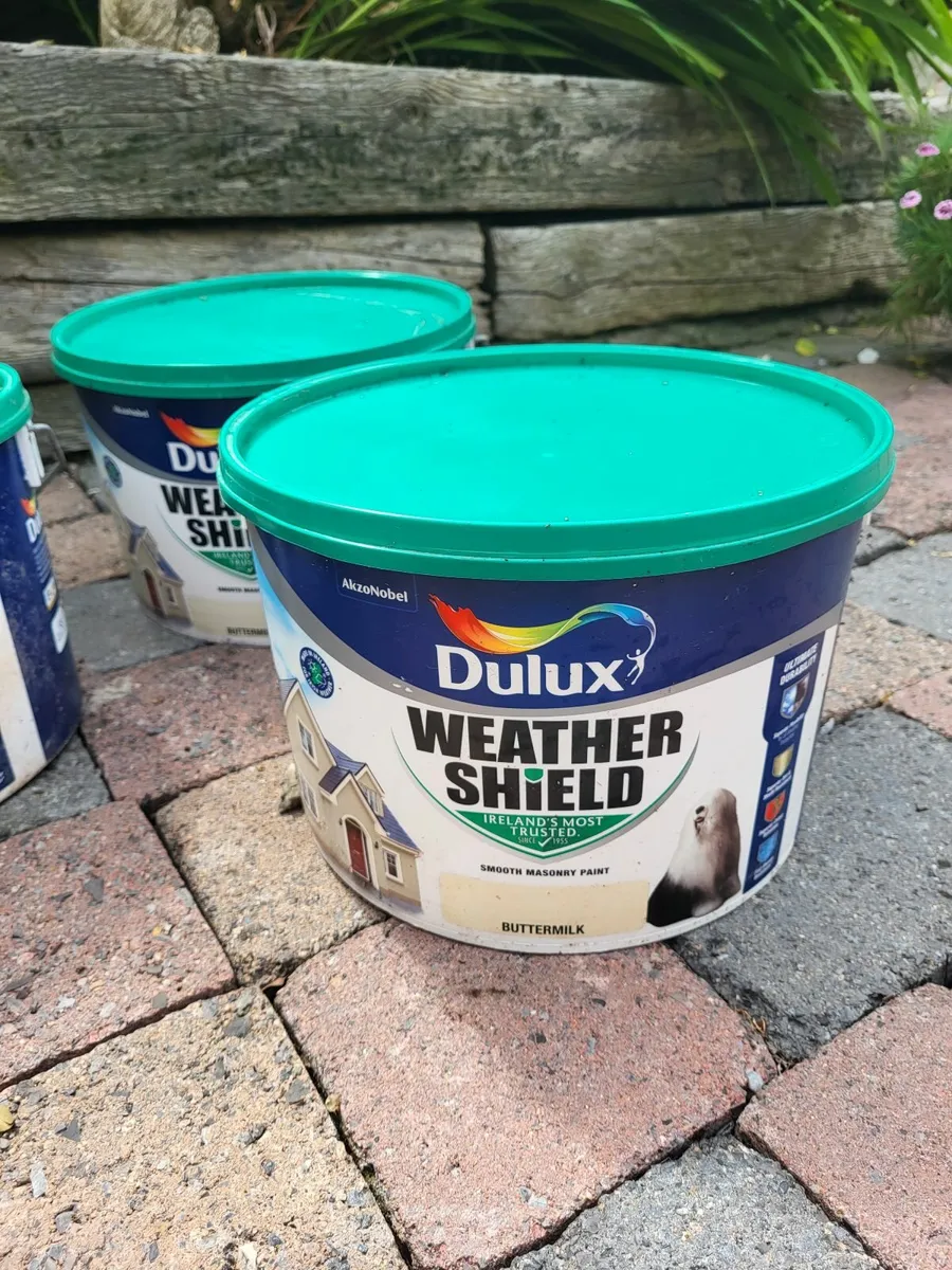 Outdoor paint - Image 1