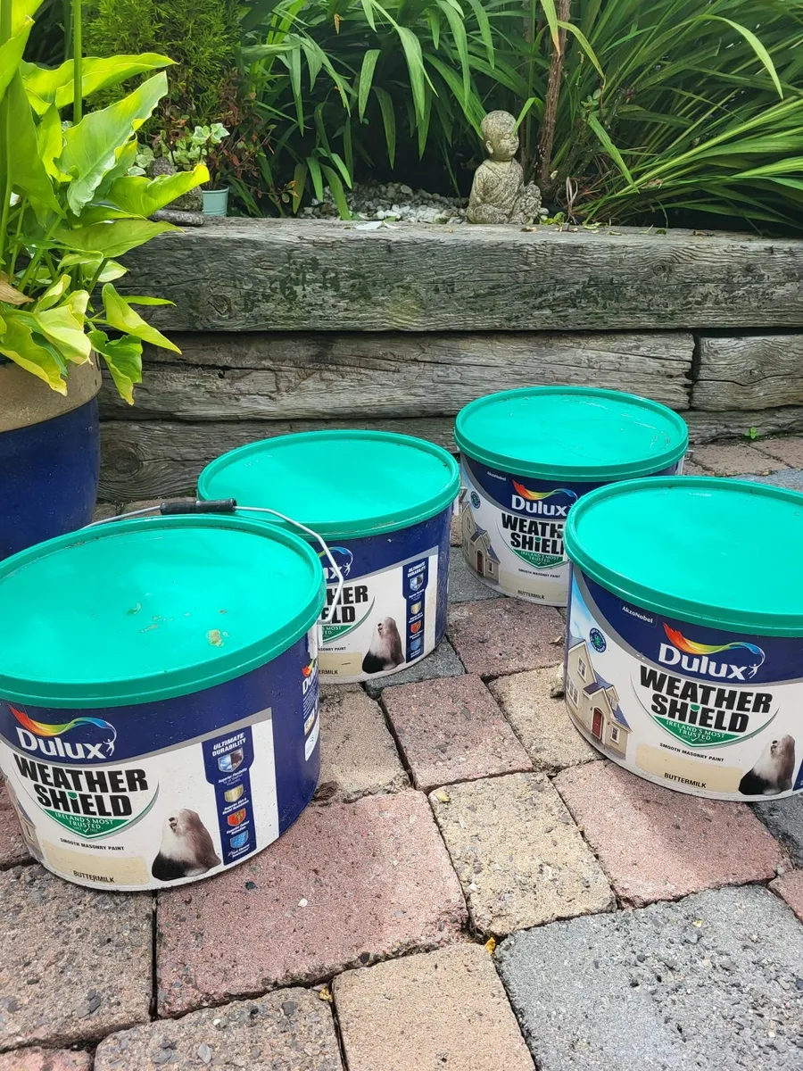 Outdoor paint - Image 2