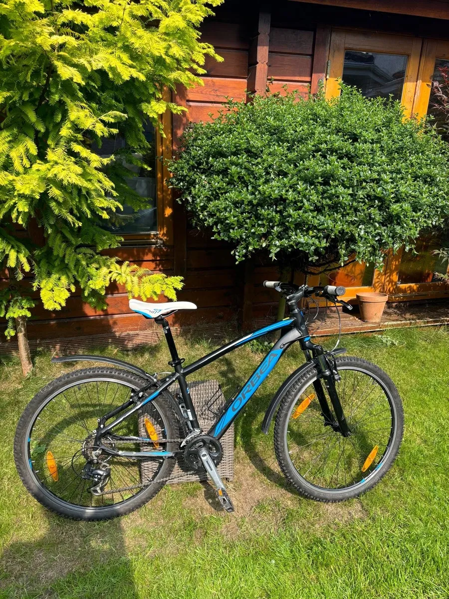 Bicycle - Image 1