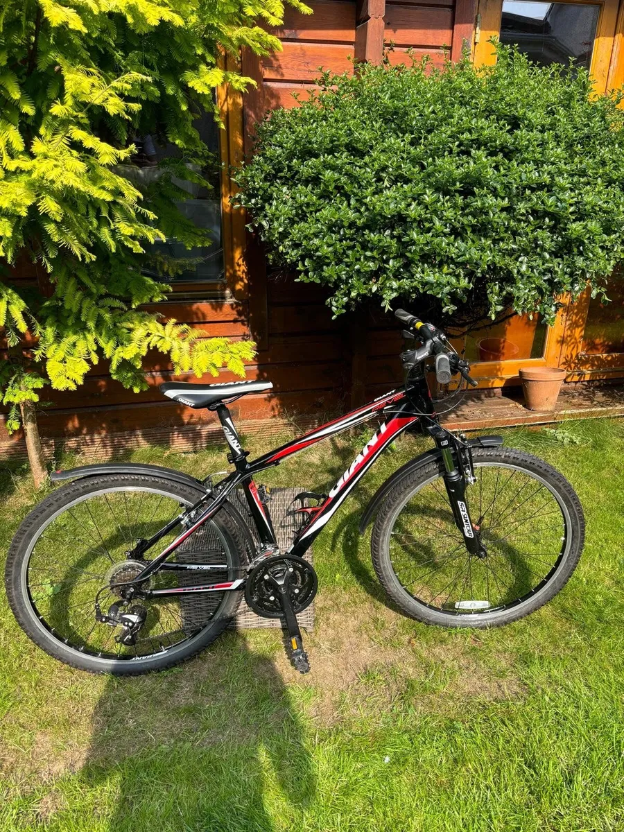 Bicycle - Image 3